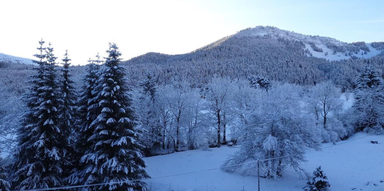 Sci Jsm Daire Gresse-en-Vercors Dış mekan fotoğraf